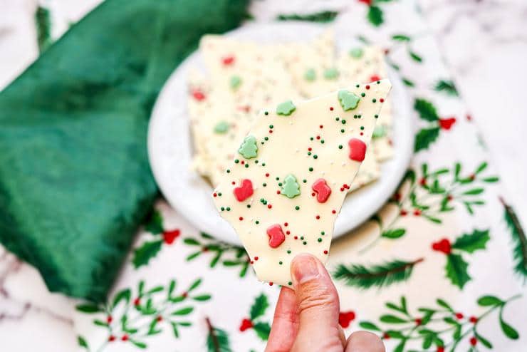 Hand holding christmas bark piece